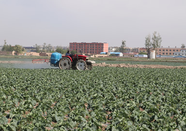 種植場(chǎng)景