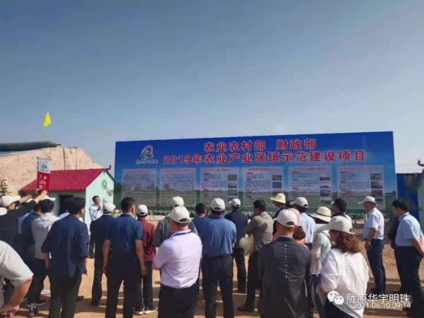 甘肅華宇農(nóng)業(yè)科技有限責(zé)任公司農(nóng)業(yè)產(chǎn)業(yè)園