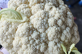 產(chǎn)品展示-松花