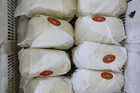 產(chǎn)品展示-娃娃菜